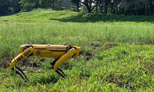 Singapore triển khai chó robot giám sát giãn cách xã hội