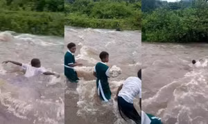 Video gây sốc: Học sinh Fiji phải bơi qua dòng nước chảy xiết để đến trường