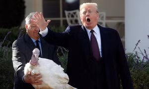 Tổng thống Trump xá tội cho gà tây dịp Lễ tạ ơn