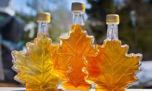 Vụ siêu trộm siro cây phong: Tội ác 'ngọt ngào' khiến Canada rúng động