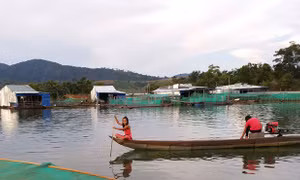 Lần đầu tiên dân làng chài Kon Tum đón Tết trên bờ
