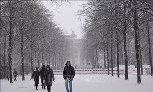 Lý do ngày càng nhiều người Do Thái Israel và Mỹ xin quốc tịch Đức