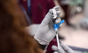Chuyên gia giải đáp về tin đồn phản ứng phụ lâu dài trong cơ thể do vaccine