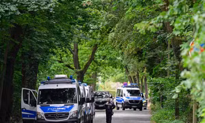 Cảnh sát Đức gấp rút truy tìm con sư tử xổng chuồng, lang thang ở thủ đô Berlin
