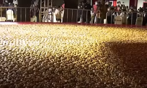 Nồi khổng lồ hấp 20.000 con cua một lúc
