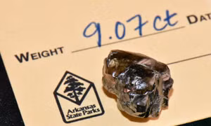 Giám đốc ngân hàng tìm thấy kim cương 9,07 carat ở công viên Mỹ