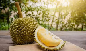 Bảy tấn sầu riêng Việt Nam đã tới thị trường Australia