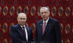 Tổng thống Thổ Nhĩ Kỳ hé lộ trọng tâm đối thoại với người đồng cấp Nga Putin