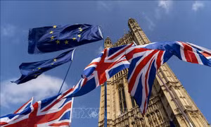 EU đề xuất loại bỏ hầu hết thủ tục kiểm tra hàng hóa đến Bắc Ireland