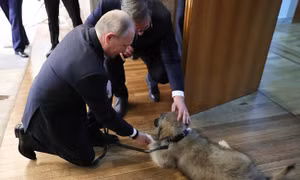 'Người bạn bốn chân' - Món quá ý nghĩa lãnh đạo Serbia tặng Tổng thống Nga Putin 