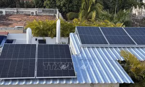 Cuba thúc đẩy cách mạng năng lượng tái tạo khi Mỹ chặn nguồn cung nhiên liệu