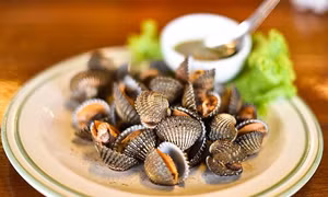 Có thể chữa ung thư nhờ sò