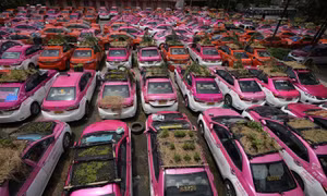 Ế ẩm vì COVID-19, taxi bỏ không biến thành vườn rau ở Thái Lan