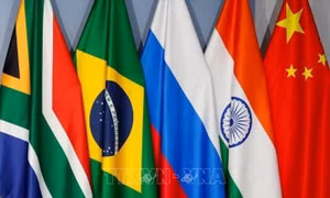 Đồng tiền chung của BRICS: Khả thi hay không?
