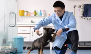 Trung Quốc nhân bản vô tính chó cảnh sát