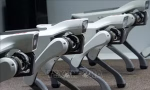 Cách Trung Quốc sử dụng chó robot, AI để bảo đảm an toàn nhà máy điện hạt nhân