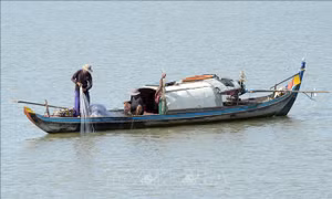 Nghiên cứu phát hiện tác nhân đang 'đầu độc' các dòng sông ở Đông Nam Á