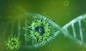 Brazil phát hiện virus mới bí ẩn với loại gen chưa từng được ghi nhận