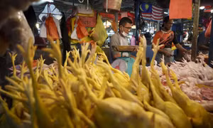 Malaysia ngừng trợ cấp giá thịt gà, cảnh báo tình trạng mua tích trữ