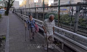 Công ty Nhật Bản chuyển từ sản xuất tã lót trẻ em sang bỉm người lớn
