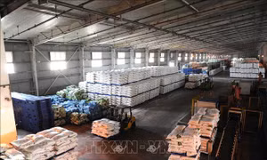 Giá bán tăng thúc đẩy triển vọng lợi nhuận doanh nghiệp phân bón cuối năm