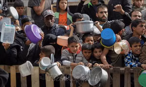 Quan chức WHO nói về tình cảnh bi thảm chưa từng có của người dân Gaza