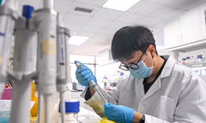 Chảy máu chất xám ngược: Nhân tài Trung Quốc rời Mỹ hồi hương