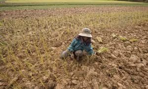Thủ tướng Thái Lan đề xuất không thu phí nước ở vùng hạn