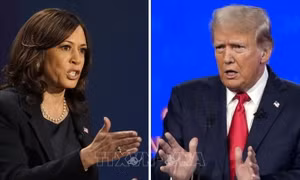 Ông Trump và bà Harris đặt cược vào podcast để thu hút cử tri mới