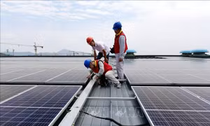 Trung Quốc 'khát' nhân lực cổ cồn xanh lá