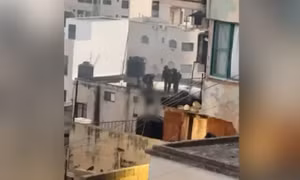 IDF điều tra video binh sĩ quăng thi thể tay súng Palestine từ trên cao xuống đất