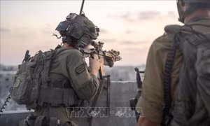 Mỹ, Israel nhất trí thúc đẩy giải giáp Hamas