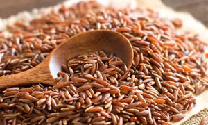Nhiều nông dân Ấn Độ 'chia tay' lúa lai để trở về với giống truyền thống