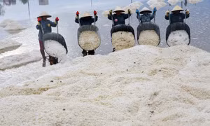 Hình ảnh sinh động về diêm dân Việt Nam trên báo nước ngoài