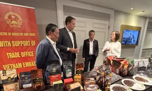 Tìm ra thêm hướng đi cho cà phê Việt Nam vào Canada
