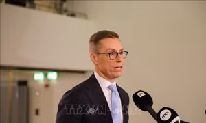 Cựu Thủ tướng Alexander Stubb chiến thắng trong bầu cử tổng thống Phần Lan