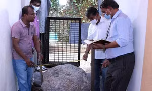 Tình cờ phát hiện đá quý 500 kg trong sân nhà
