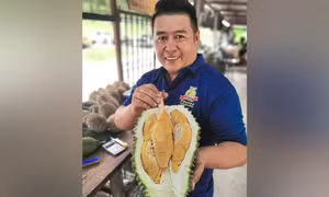 'Tân binh' sầu riêng lăm le soán ngôi Musang King và Black Thorn
