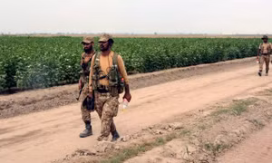 Quân đội Pakistan chuyển từ xe tăng sang máy cày để tăng gia sản xuất 