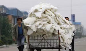 Nature: Phát hiện nhiều loại virus mới tại trang trại nuôi động vật lấy lông ở Trung Quốc