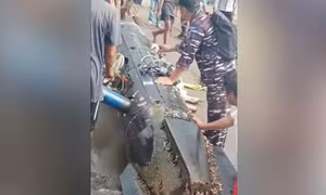 Indonesia điều tra vật thể giống ngư lôi xuất hiện trong vùng biển nước này