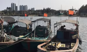 Kyodo đưa tin Trung Quốc yêu cầu ngư dân không đánh bắt gần quần đảo Senkaku/Điếu Ngư