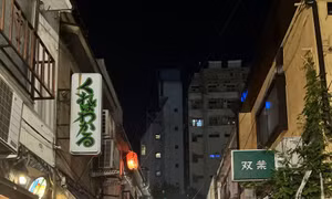 Bảo tồn di sản văn hóa ở Tokyo - Bài cuối: Hài hòa với phát triển đô thị hiện đại