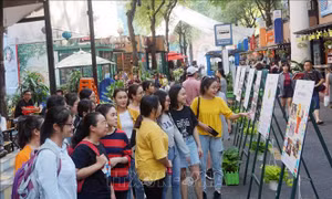 Nhiều hoạt động thú vị trong Tuần lễ Khuyến đọc tại TP Hồ Chí Minh