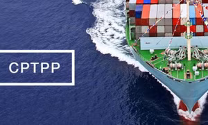 Quy định sở hữu trí tuệ và rác thải công nghệ lần đầu quy định trong CPTPP