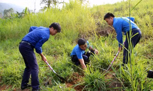 Lan tỏa sức trẻ vì cộng đồng