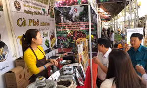 Giảm xuất khẩu cà phê nhân, tăng sản lượng rang xay và hòa tan