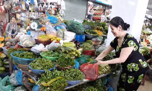 Mưa lớn kéo dài, giá rau xanh miền Trung tăng chóng mặt