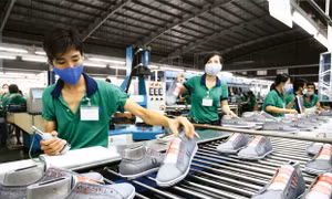 Chủ tịch Hiệp hội Da giày: Tăng tỷ lệ nội địa thêm 10% để đón cơ hội CPTPP