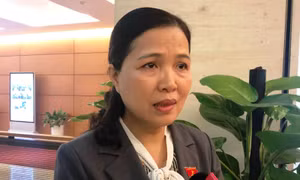 Bên lề Quốc hội: Đề nghị nâng chế tài xử lý sau vụ 'thỉnh vong' tại chùa Ba Vàng